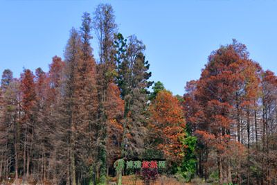 七仙岭温泉