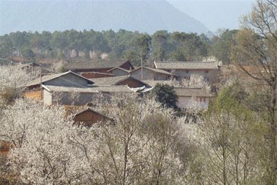 茅坡樱红旅游景区